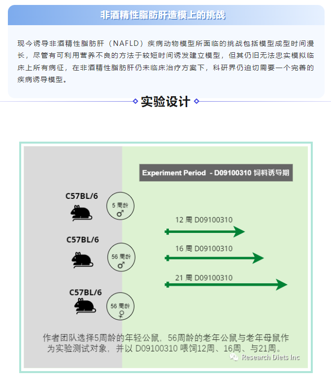 Research Diets D09100310 非酒精性脂肪肝造模新思路