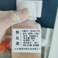 SPF级比格犬血清(空白/混合)