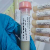 SPF食蟹猴血浆/个体/雄/雌