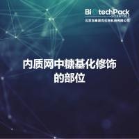 内质网中糖基化修饰的部位