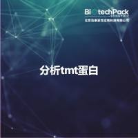 分析tmt蛋白