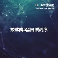 羧肽酶a蛋白质测序