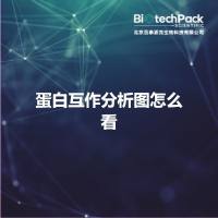 蛋白互作分析图怎么看