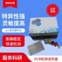 吕氏泰勒虫PCR检测试剂盒