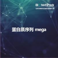 蛋白质序列 mega