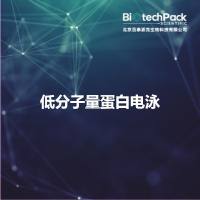 低分子量蛋白电泳