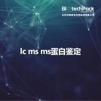 lc ms ms蛋白鉴定