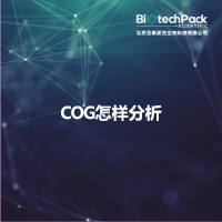 COG怎样分析