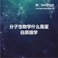 分子生物学什么是蛋白质组学