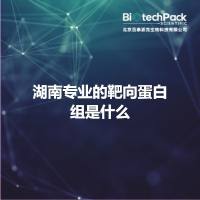 湖南专业的靶向蛋白组是什么