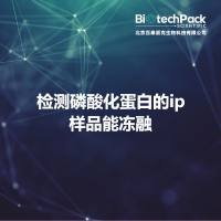 检测磷酸化蛋白的ip样品能冻融