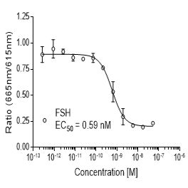 Mouse FSH  (FSHR)受体稳定表达细胞株