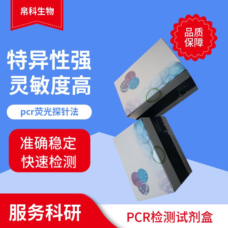 x绵羊星状病毒1型PCR检测试剂盒