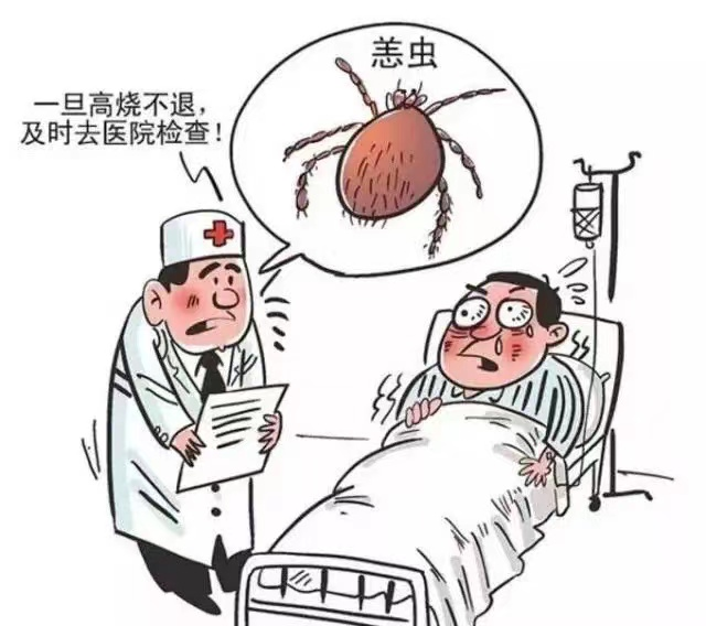 高烧不退还进 ICU，罪魁祸首竟是这种虫子
