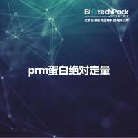 prm蛋白绝对定量