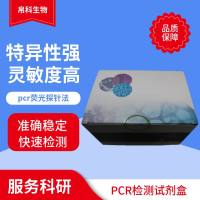 类鼻疽伯克霍尔德菌探针法荧光定量PCR试剂盒