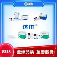Recombinant Human bFGF