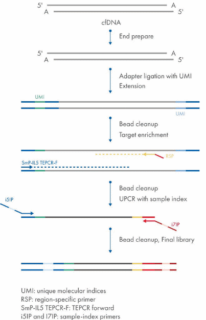 【新品上市】更低的检测限，专为液体活检而生的靶向测序方案