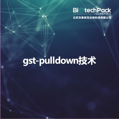 gst-pulldown技术