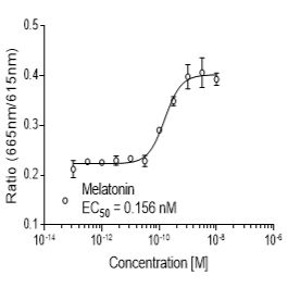 Mouse MT1 (MTNR1A)受体稳定表达细胞株