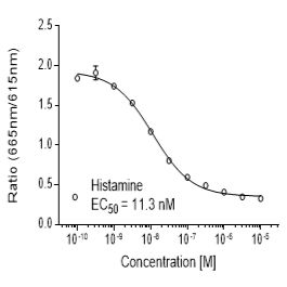 Mouse H1 (HRH1)受体稳定表达细胞株