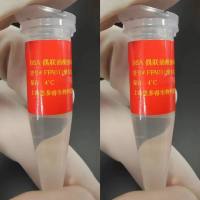 BSA偶联混合脂肪酸钠溶液 (50 mM)