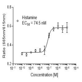Mouse H3 (HRH3)受体稳定表达细胞株