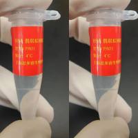 BSA偶联棕榈钠储存液 （20 mM）
