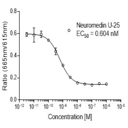 Human NMU1受体稳定表达细胞株