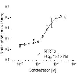Rat NPFF2受体稳定表达细胞株