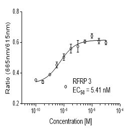 Mouse NPFF1 (GPR147)受体稳定表达细胞株