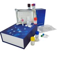 牛成纤维细胞生长因子21(FGF-21)ELISA试剂盒