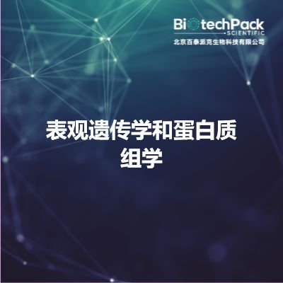 表观遗传学和蛋白质组学