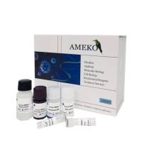 小鼠白介素6(IL-6ELISA Kit