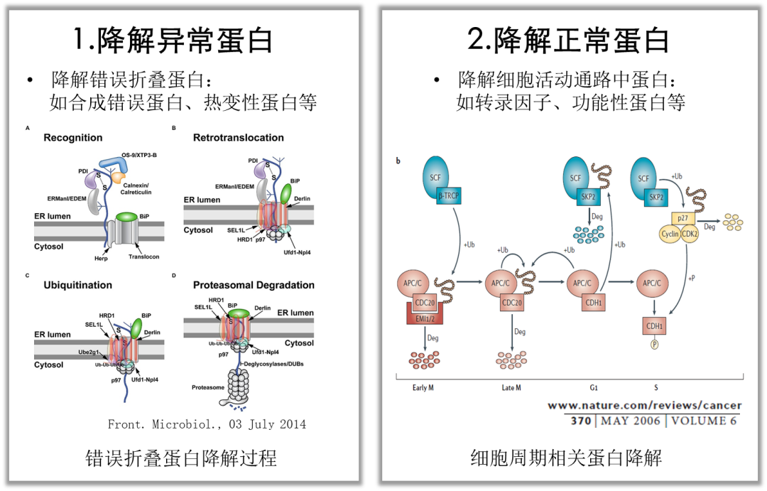 新闻图片4