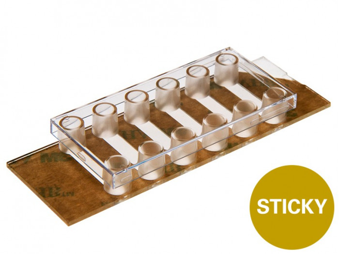 六通道可粘载玻片