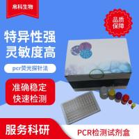 绵羊鞭虫探针法荧光定量PCR试剂盒