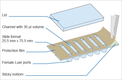 六通道可粘载玻片