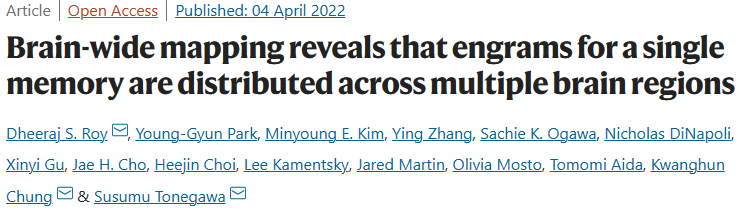 《Nature communications》：基于全脑c-fos组织透明化三维整体成像揭示单个“记忆印迹”在不同大脑区域分布