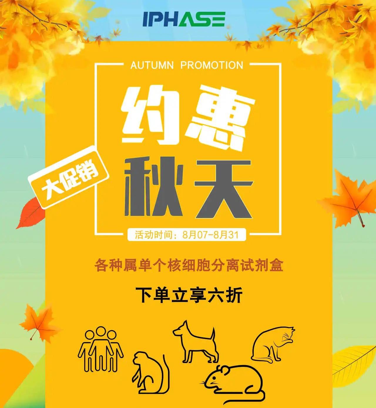 IPHASE/汇智和源 | 清风秋霜，尽情享受，部分产品限时六折，快来抢购吧！