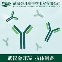 保证型单克隆抗体制备(抗体定制)| 保证型鼠单克隆抗体制备服务(特异性更强,灵敏度更高)