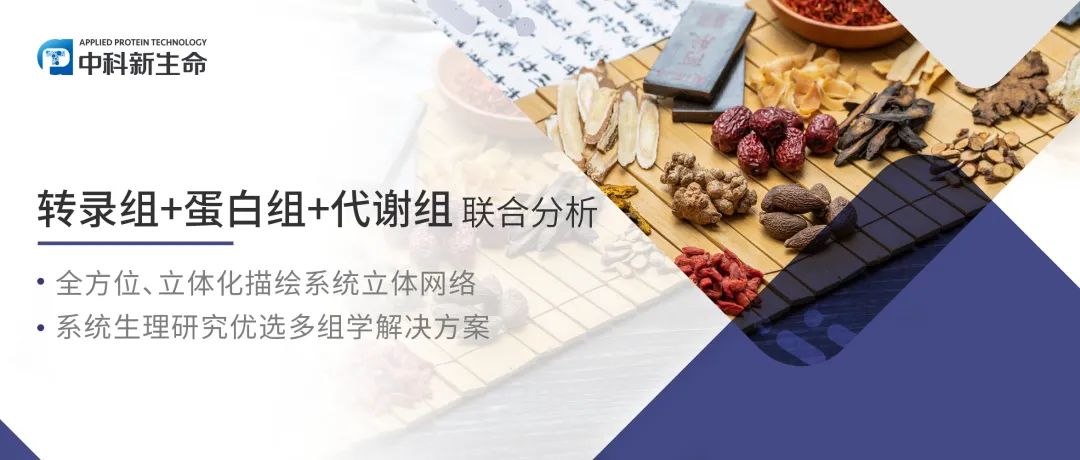 项目文章Clinical and Translational Medicine（IF=10.6）|成分组+网络药理学+多组学揭示参仙升脉改善人心肌细胞搏动的分子机制