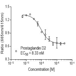 Rat DP1 (PTGDR)受体稳定表达细胞株