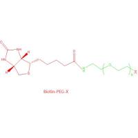 生物素聚乙二醇全反式维甲酸,Biotin-PEG-Retinoic acid,5K