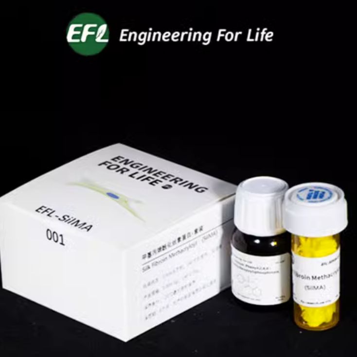 甲基丙烯酰化丝素蛋白(SilMA)