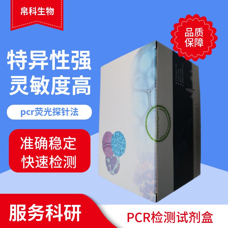 人偏肺病毒PCR检测试剂盒（荧光PCR法）