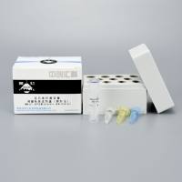 百日咳杆菌双重核酸检测试剂盒（探针法）