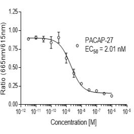 Mouse VPAC2 (VIPR2)受体稳定表达细胞株