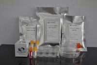 赖氨酸包被100mm 培养皿（神经细胞培养推荐★★★★★） 细胞培养更便捷 / 稳定 / 提效