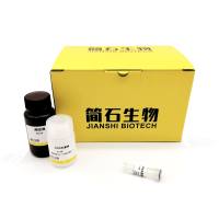 凝胶DNA回收试剂盒